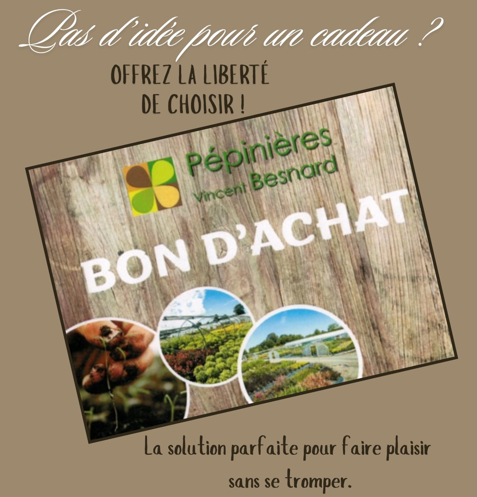 offrez un bon d ‘achat (8.89 x 5 cm) (1920 x 2000 px) (1)
